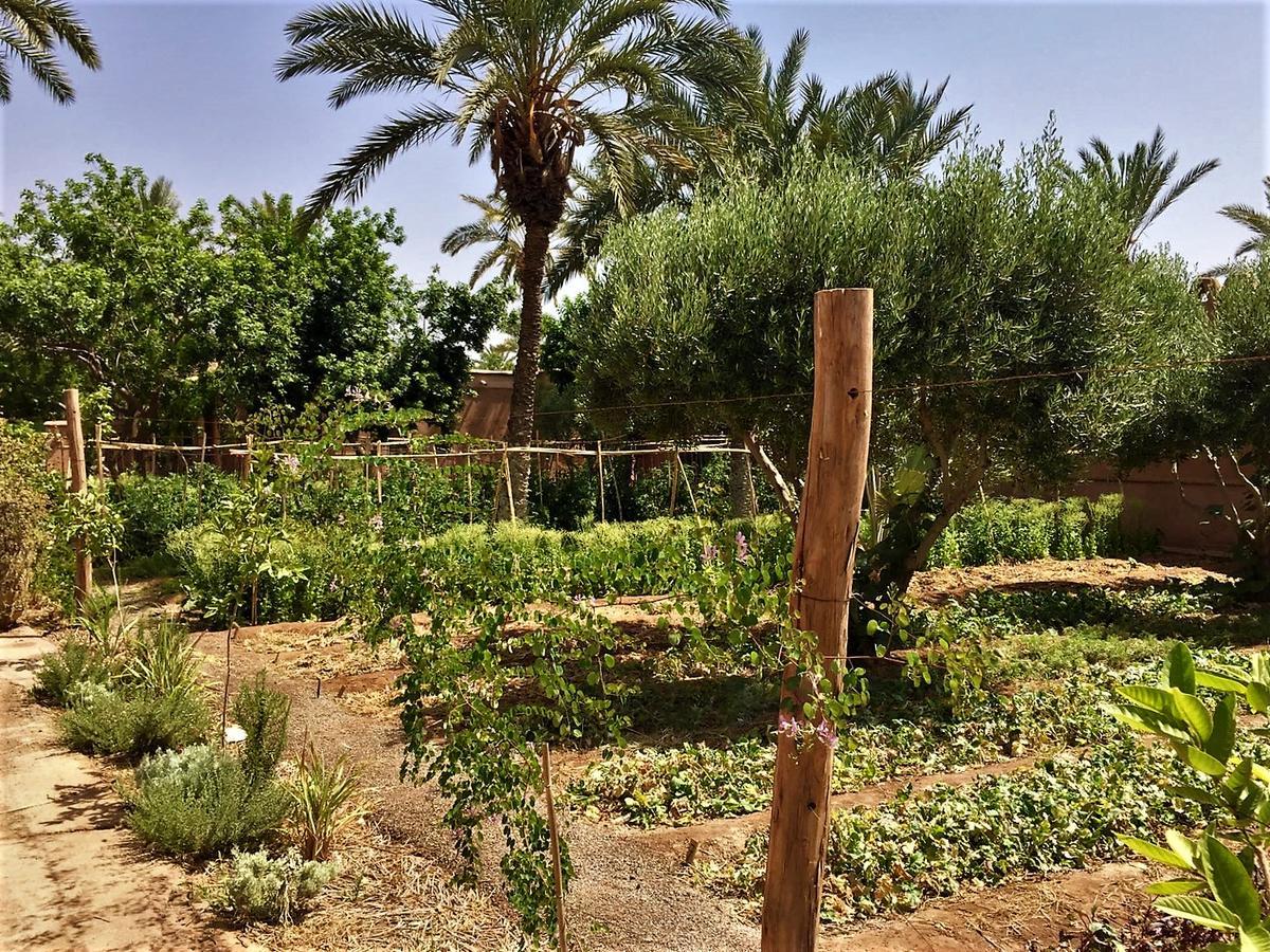 Villa 55 Marrakech Маракеш Екстериор снимка